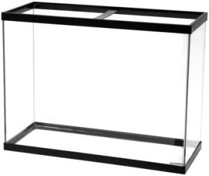 5-quality-40-gallon-aquarium-tanks-reviewed-and-compared
