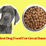 Best Dog Food For Great Danes And Various Other Large Types